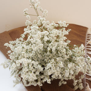 Crystal grass