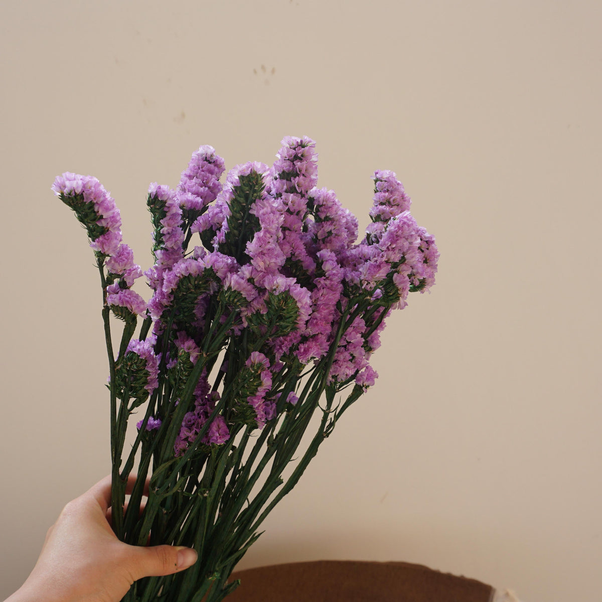 Forget me not,dried flower