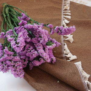 Forget me not,dried flower