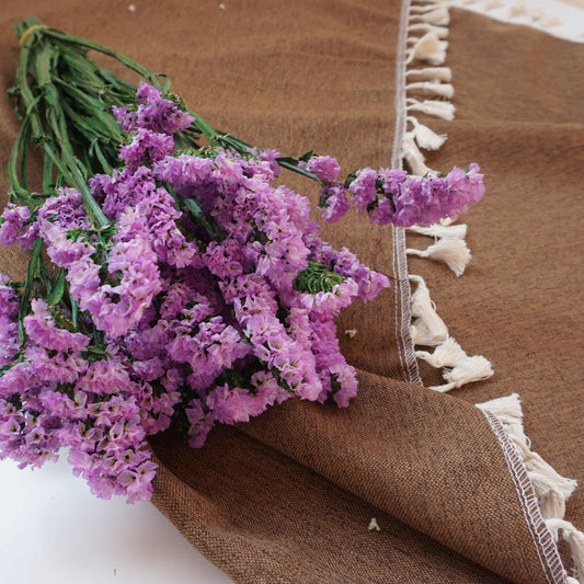 Forget me not,dried flower