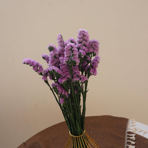 Forget me not,dried flower