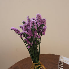 Forget me not,dried flower