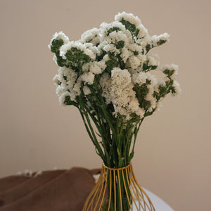 Dried flower eucalyptus