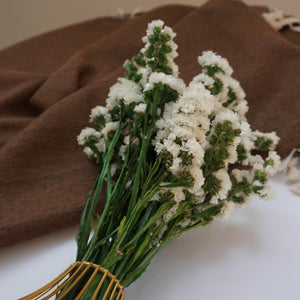 Dried flower eucalyptus