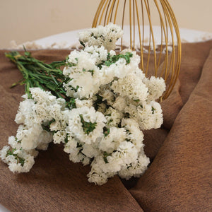 Dried flower eucalyptus