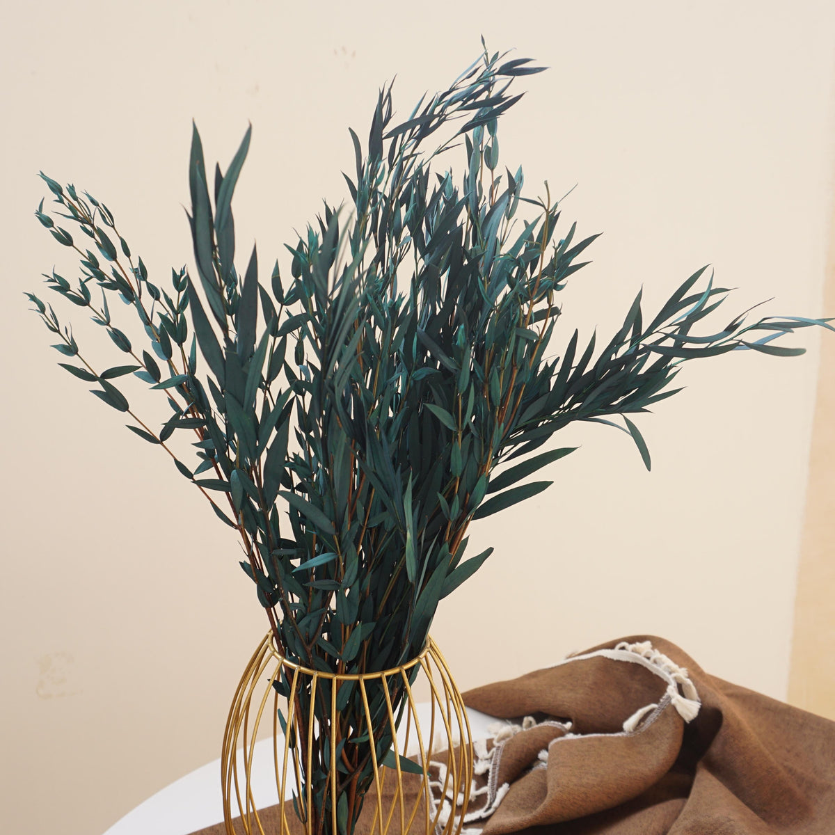 Blue color eucalyptus