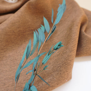 Blue color eucalyptus