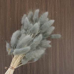 dried flower materials bunny tails grass
