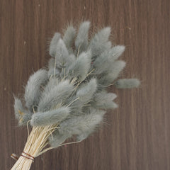 dried flower materials bunny tails grass