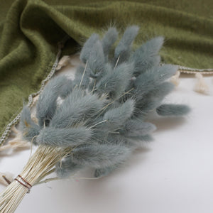dried flower materials bunny tails grass