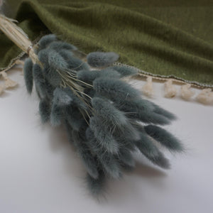 dried flower materials bunny tails grass
