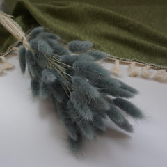 dried flower materials bunny tails grass