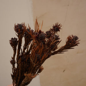 Orange color preserved flower materials