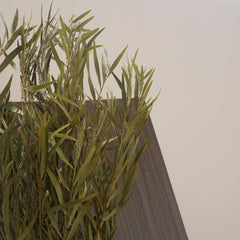 green color dried flower materials home decor
