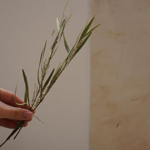 green color dried flower materials home decor