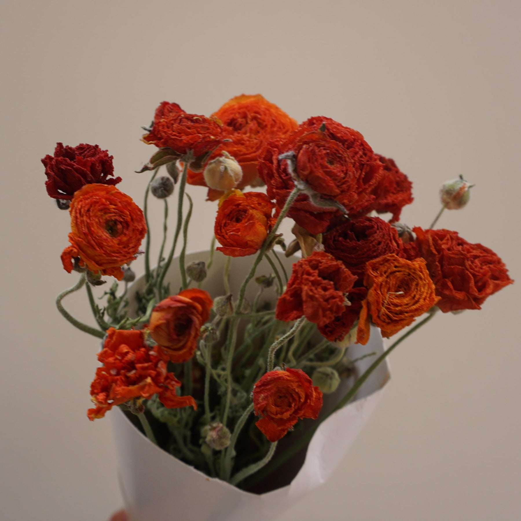 Dried flower orange flower ,home decor materials,