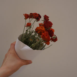 Dried flower orange flower ,home decor materials,