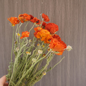 Dried flower orange flower ,home decor materials,