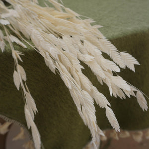 Chasmanthium latifolium，dried flower