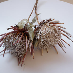 Dried imperial flower
