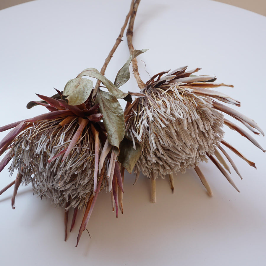 Dried imperial flower