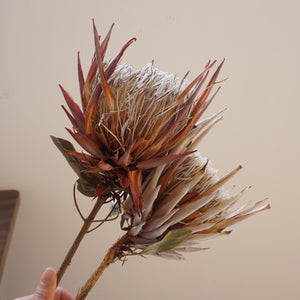 Dried imperial flower