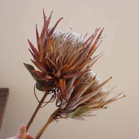 Dried imperial flower