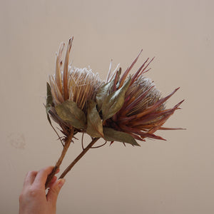Dried imperial flower