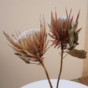 Dried imperial flower