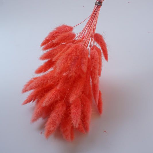 Deep pink bunny tails