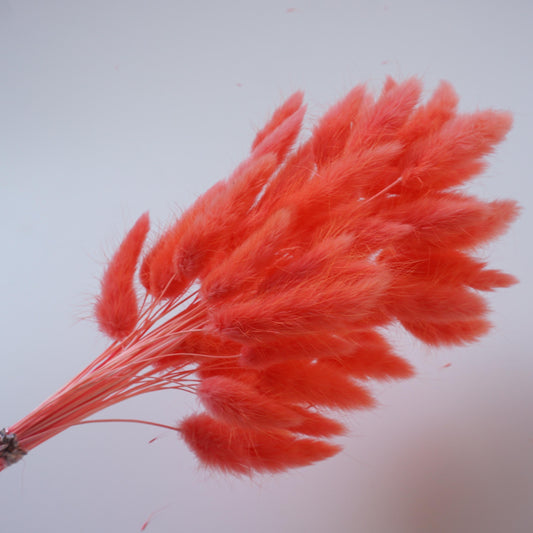 Deep pink bunny tails