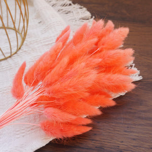 Deep pink bunny tails