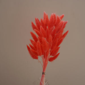 Deep pink bunny tails