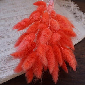 Deep pink bunny tails