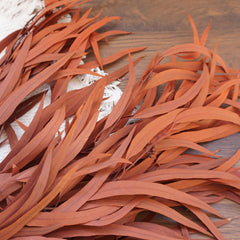 red color small eucalyptus