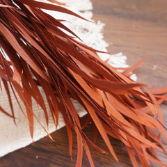 red color small eucalyptus
