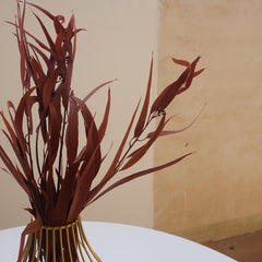 red color small eucalyptus
