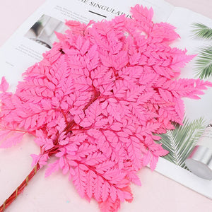 10PCS Dry Natural Fresh Preserved Plant,Eternal Dried Grass,Forever Flowers Leaves For DIY Home Decorative Flower Bouquet wholesale -PAMPAS grass wholesale and dried flowers wholesale near me