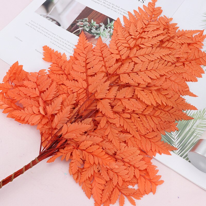 10PCS Dry Natural Fresh Preserved Plant,Eternal Dried Grass,Forever Flowers Leaves For DIY Home Decorative Flower Bouquet wholesale -PAMPAS grass wholesale and dried flowers wholesale near me