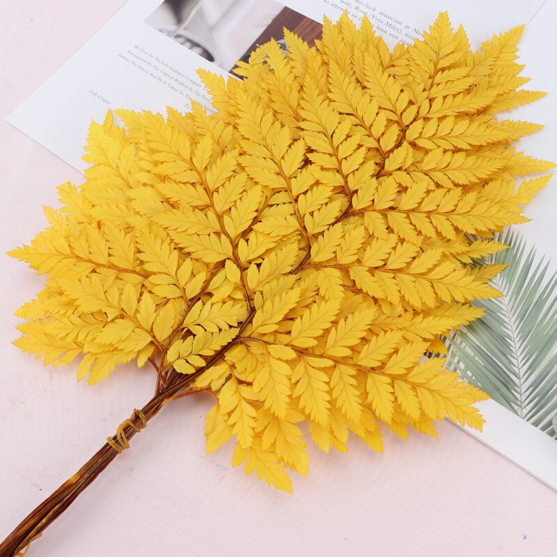 10PCS Dry Natural Fresh Preserved Plant,Eternal Dried Grass,Forever Flowers Leaves For DIY Home Decorative Flower Bouquet wholesale -PAMPAS grass wholesale and dried flowers wholesale near me