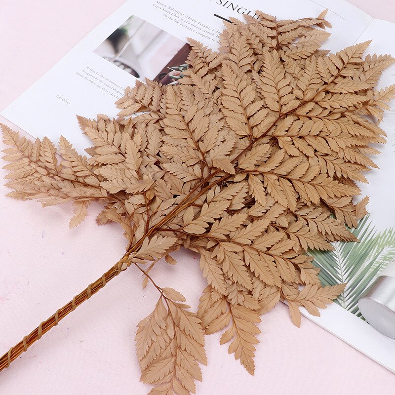 10PCS Dry Natural Fresh Preserved Plant,Eternal Dried Grass,Forever Flowers Leaves For DIY Home Decorative Flower Bouquet wholesale -PAMPAS grass wholesale and dried flowers wholesale near me