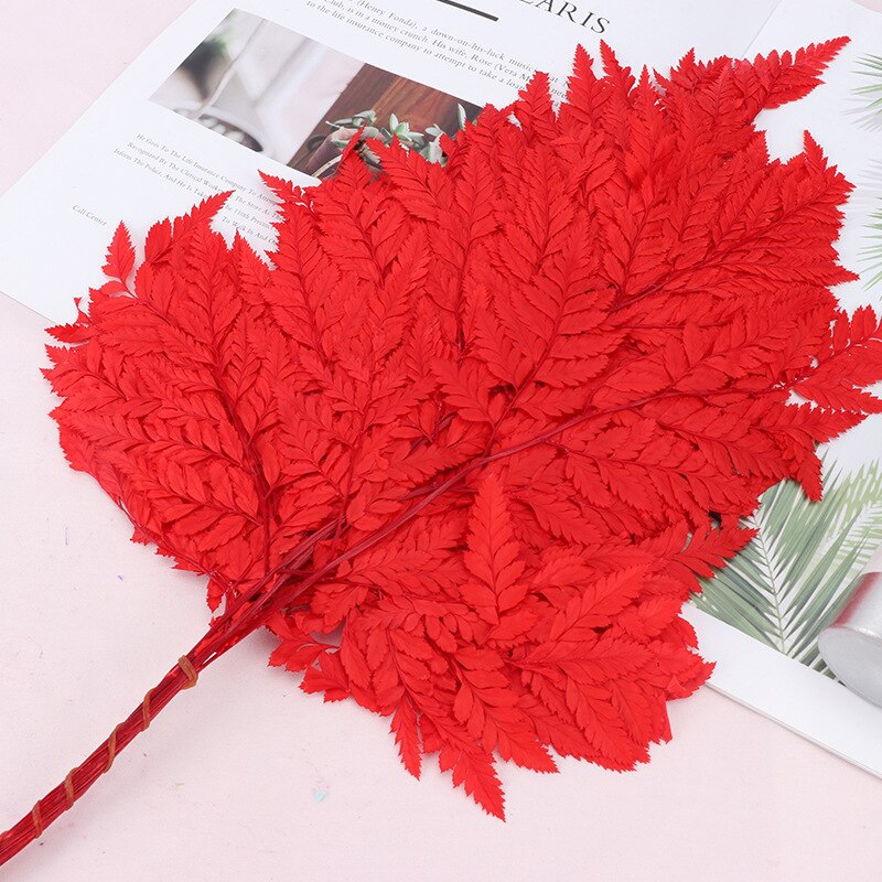 10PCS Dry Natural Fresh Preserved Plant,Eternal Dried Grass,Forever Flowers Leaves For DIY Home Decorative Flower Bouquet wholesale -PAMPAS grass wholesale and dried flowers wholesale near me