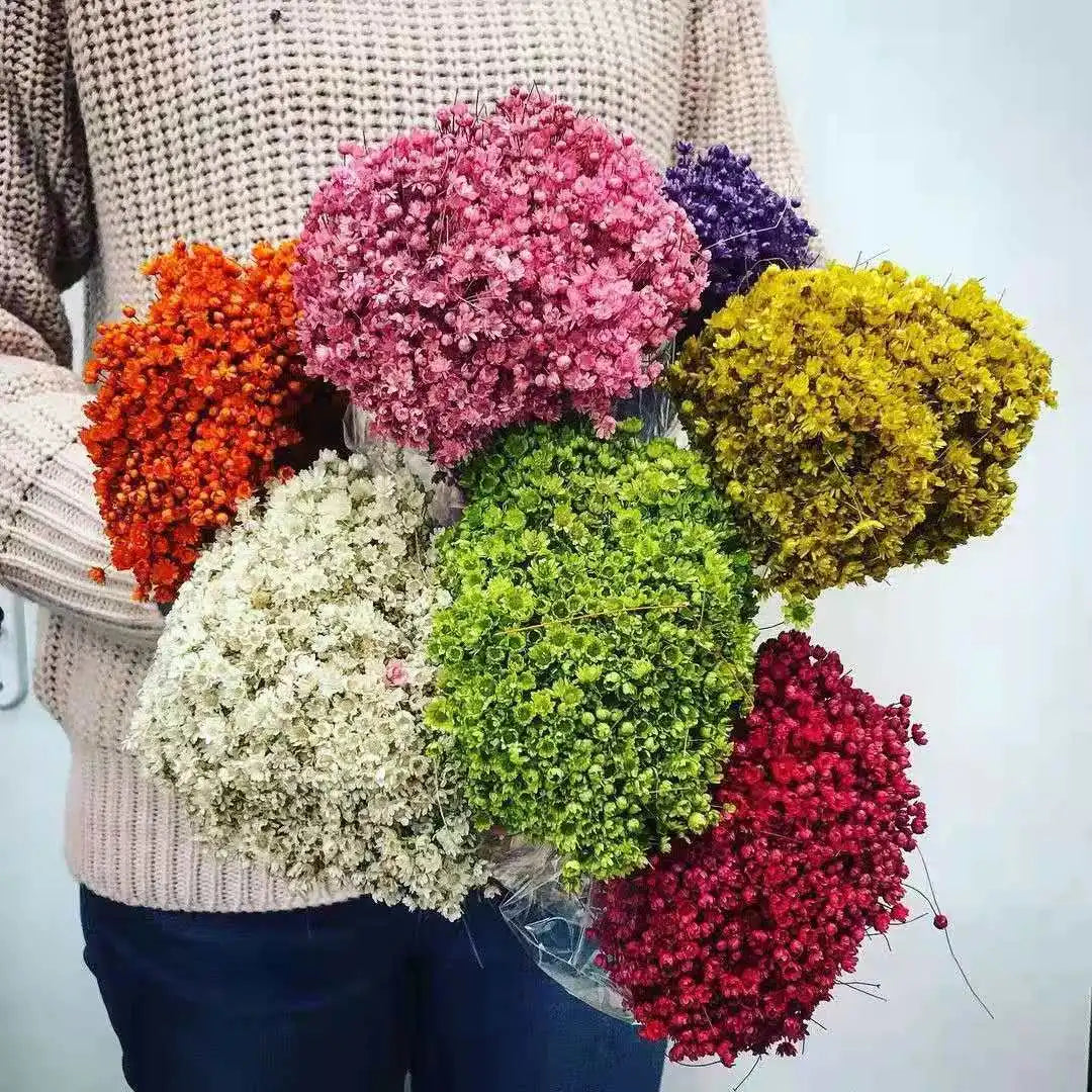 Wedding Dried Flower Arrangements Preserved Little Star Flower Dried Flowers Glixia -PAMPAS grass wholesale and dried flowers wholesale near me