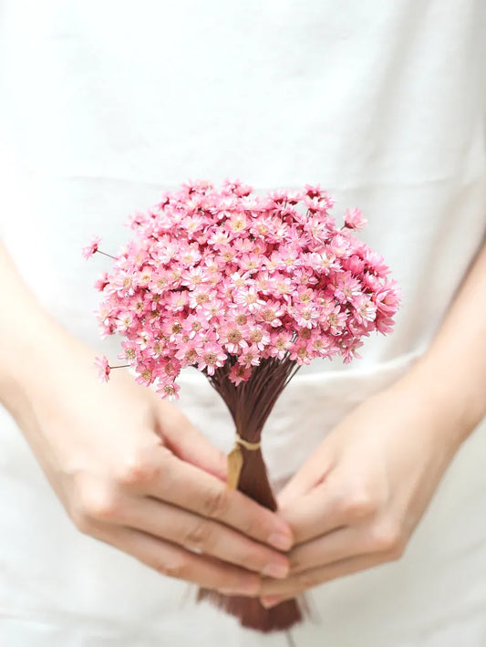 Wedding Dried Flower Arrangements Preserved Little Star Flower Dried Flowers Glixia -PAMPAS grass wholesale and dried flowers wholesale near me