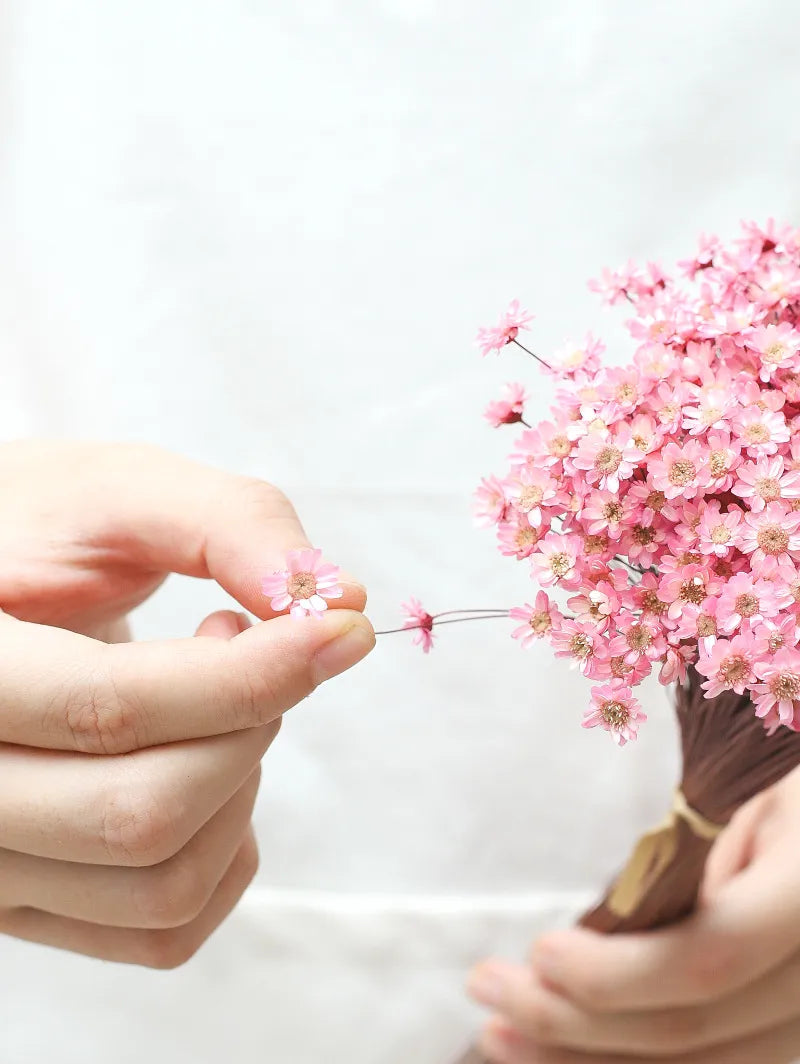 Wedding Dried Flower Arrangements Preserved Little Star Flower Dried Flowers Glixia -PAMPAS grass wholesale and dried flowers wholesale near me