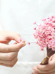Wedding Dried Flower Arrangements Preserved Little Star Flower Dried Flowers Glixia -PAMPAS grass wholesale and dried flowers wholesale near me