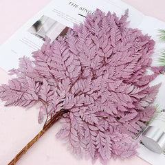 10PCS Dry Natural Fresh Preserved Plant,Eternal Dried Grass,Forever Flowers Leaves For DIY Home Decorative Flower Bouquet wholesale -PAMPAS grass wholesale and dried flowers wholesale near me