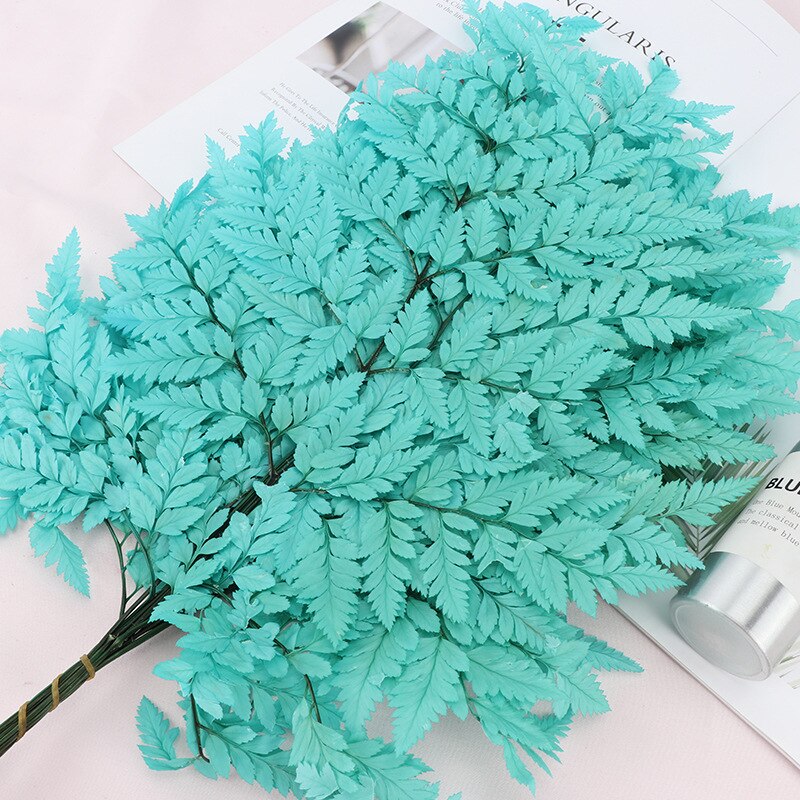 10PCS Dry Natural Fresh Preserved Plant,Eternal Dried Grass,Forever Flowers Leaves For DIY Home Decorative Flower Bouquet wholesale -PAMPAS grass wholesale and dried flowers wholesale near me