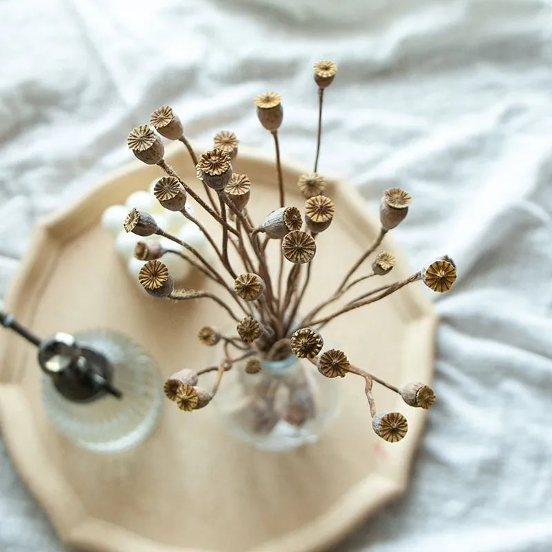 2023  Hot Selling Dry Flowers Corn Poppy Flower Pods For Home/Wedding Decoration Flowers -PAMPAS grass wholesale and dried flowers wholesale near me