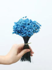 Wedding Dried Flower Arrangements Preserved Little Star Flower Dried Flowers Glixia -PAMPAS grass wholesale and dried flowers wholesale near me